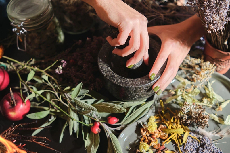Berberine, Barberry, and Lyme Resilience Herbalism Workshop