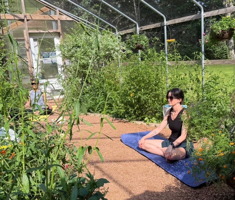 Meditation in the Butterfly House
