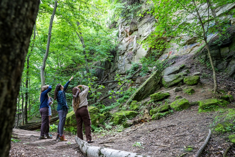 The Urban Nature Adventure Tour