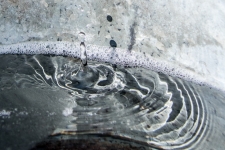 Maple Tapping
