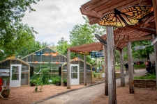 Butterfly House