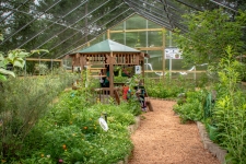 Butterfly House