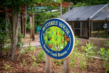 Butterfly House