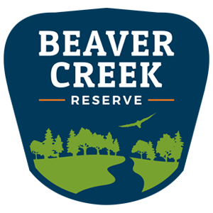 40+ Beaver creek reserve summer camp Tips