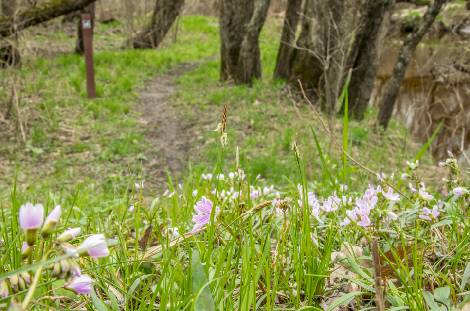 Beaver Creek Reserve