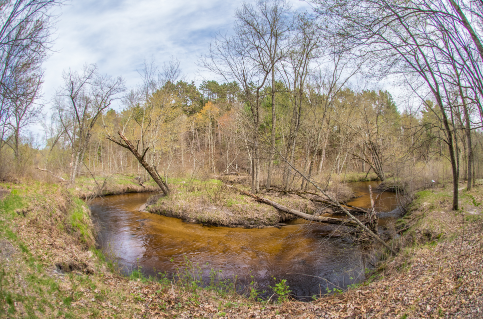 Beaver Creek Reserve