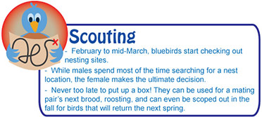 scouting